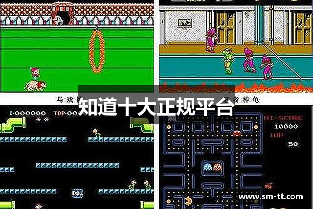 知道十大正规平台